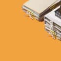 common types of real estate fraud - full binders on orange background